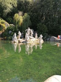 View of fountain in lake