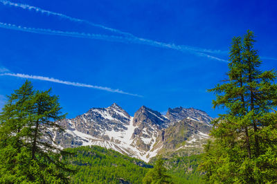 Scenic view of trees and mountains against blue sky