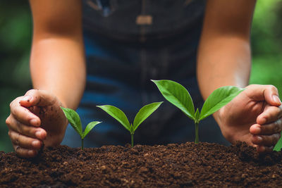 Midsection of gesturing by plants