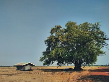 Trees on field against clear sky