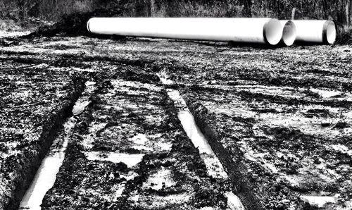 field