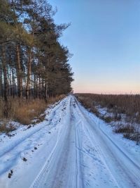 Snow covered road amidst trees against sky during winter