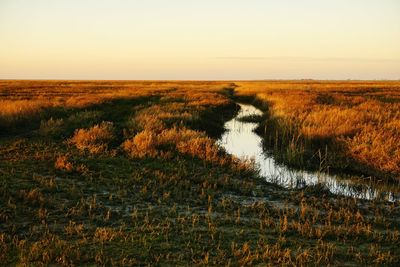 Scenic view of land against sky during sunset