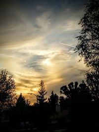 Silhouette of trees at sunset