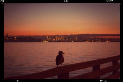 Silhouette of people at sunset
