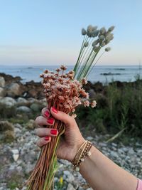 Midsection of woman holding plant at beach against sky