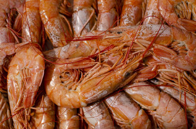 Full frame shot of fish for sale at market