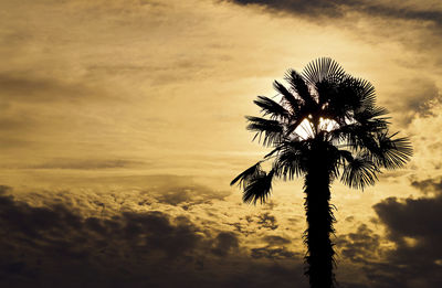 Low angle view of silhouette palm tree against dramatic sky