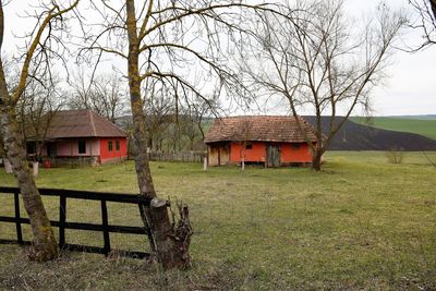 Houses and trees on field against sky