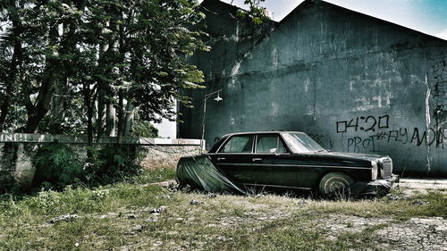 Abandoned car against trees