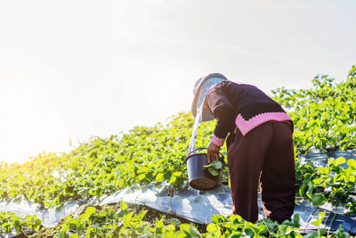 Low section of woman working in farm