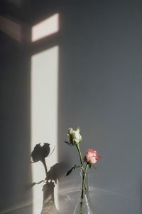 Close-up of flower vase against wall at home