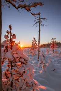 Snow covered land against sky during sunset