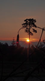 Silhouette trees against sky during sunset