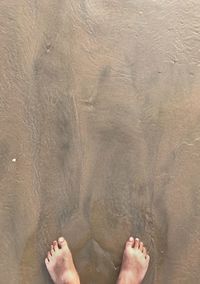 Low section of man standing on sand at beach