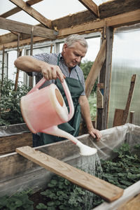 Mature man, gardener in greenhouse watering plants