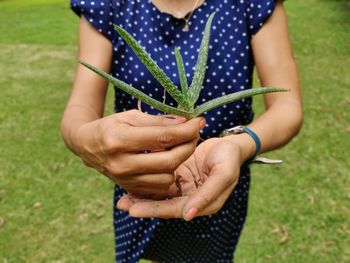 Midsection of woman holding plant growing in field