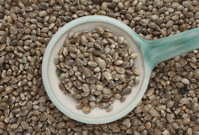 High angle view of hemp seeds