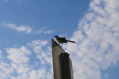 Low angle view of bird perching on pole against sky