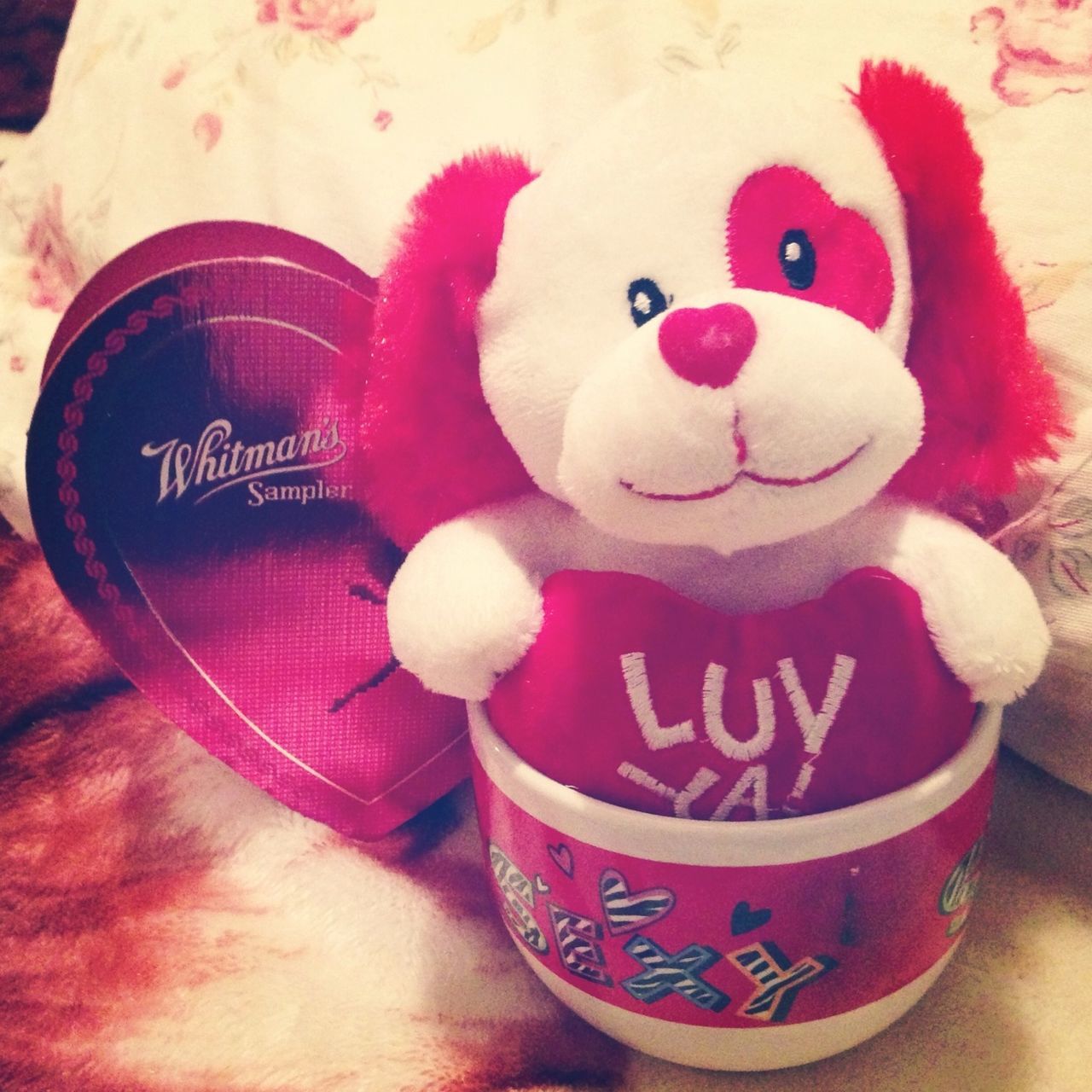 What he gave me for valentines<3 :3