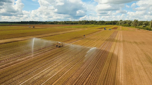 Scenic view of agricultural field