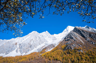 Low angle view of snowcapped mountains against clear blue sky