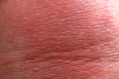 Full frame shot of hand