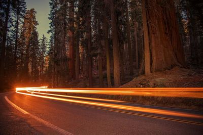 Light trails on road at night