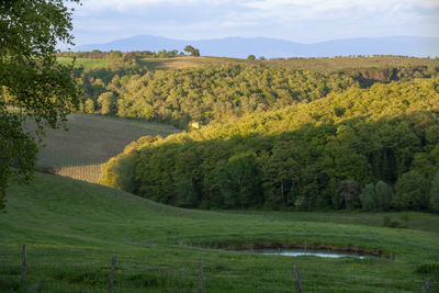 Scenic view of field against sky