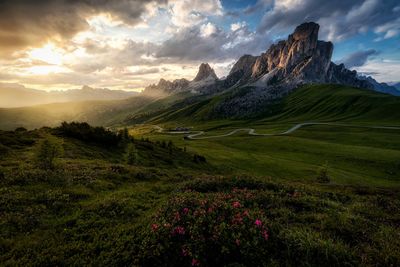 Scenic view of field against sky