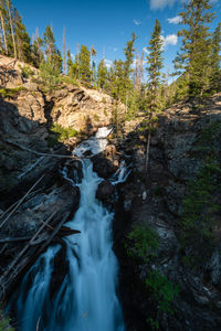 Stream flowing through rocks in forest