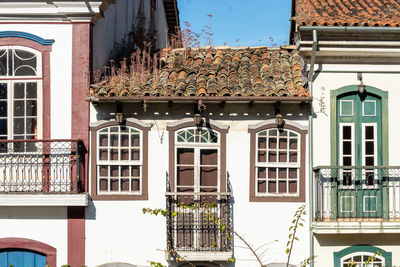 Potted plants on balcony against building in city