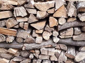 Full frame shot of logs in forest