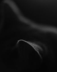 Close-up of smoke against black background