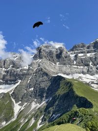 Scenic view of snowcapped mountains against sky with a bird