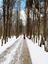 Rear view of person on snow covered land