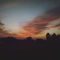 Silhouette trees against sky during sunset