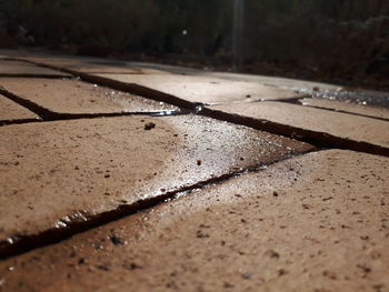 Close-up of wet footpath