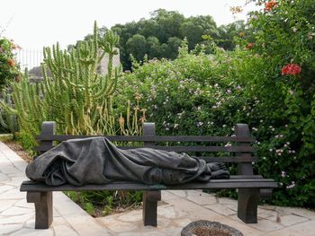 Bench in park