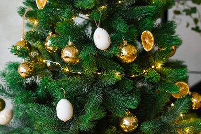 The christmas tree is decorated with toys, dried lemons or oranges, golden balls, white eggs 