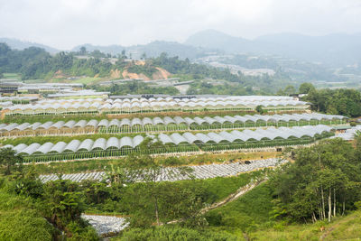 Scenic view of agricultural landscape against sky