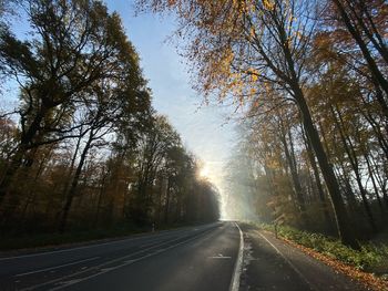 Empty road along trees and plants