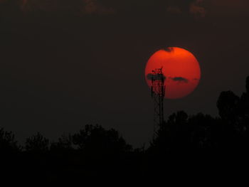 Low angle view of silhouette trees against orange sky