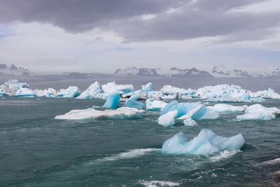 Iceland, jokulsarlon lagoon, turquoise icebergs floating in glacier lagoon on iceland