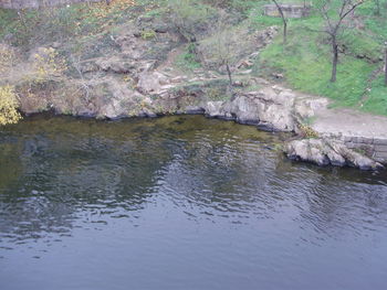 Scenic view of river and trees