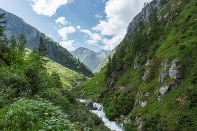 Waterfall in the green mountains in summer