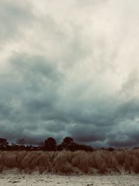 Scenic view of field against cloudy sky