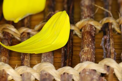 Close-up of dried leaves on table