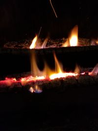 Close-up of bonfire at night