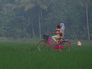 Rear view of man riding bicycle on field